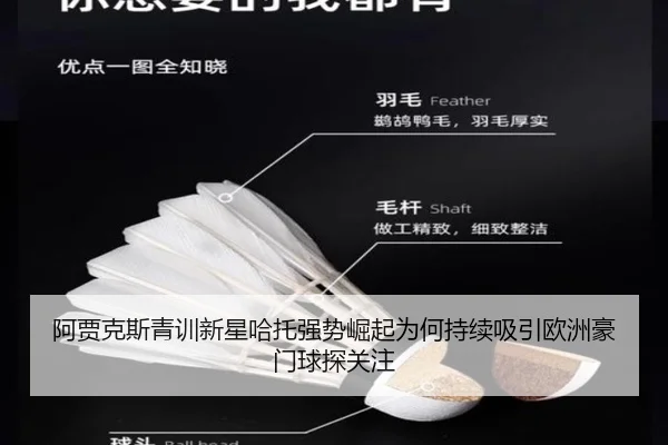 阿贾克斯青训新星哈托强势崛起为何持续吸引欧洲豪门球探关注